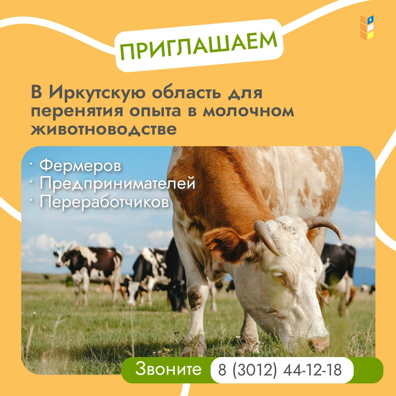 Делегация Бурятии отправляется в Иркутскую область для изучения молочного животноводства