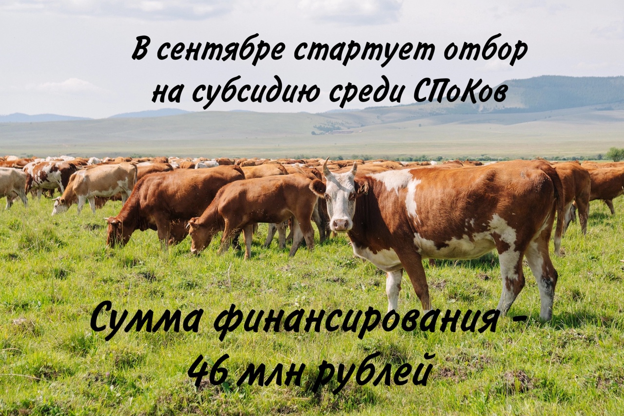 В сентябре стартует прием заявок на возмещение части затрат сельскохозяйственным кооперативам