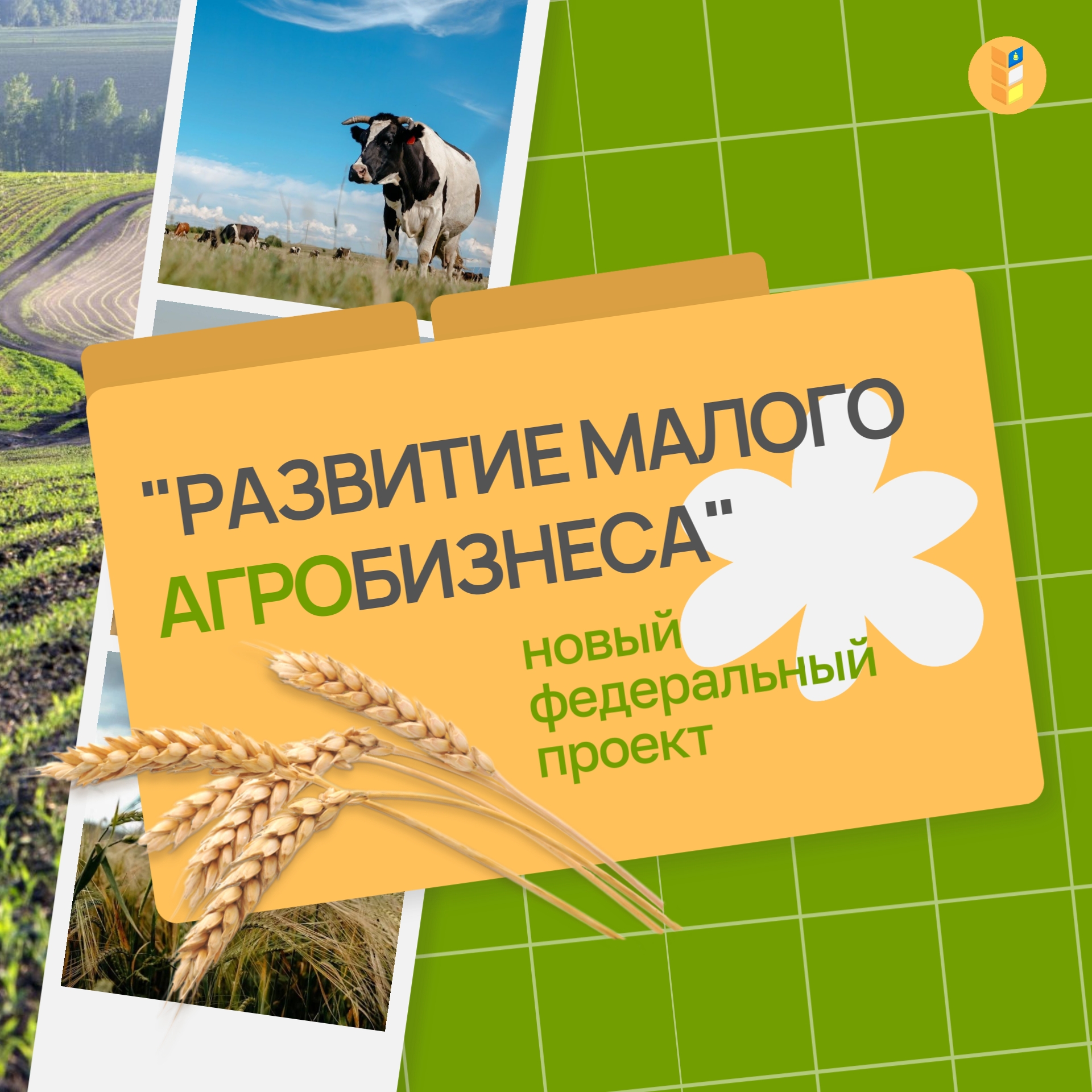 В Бурятии стартовал федеральный проект «Развитие малого агробизнеса»