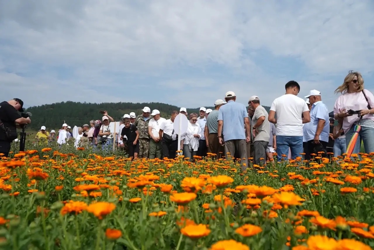 День поля-2026 стартовал на полях ООО «Куйтунское»