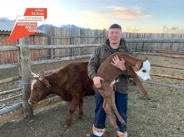 Фермер из Бурятии увеличил поголовье КРС в шесть раз с помощью господдержки