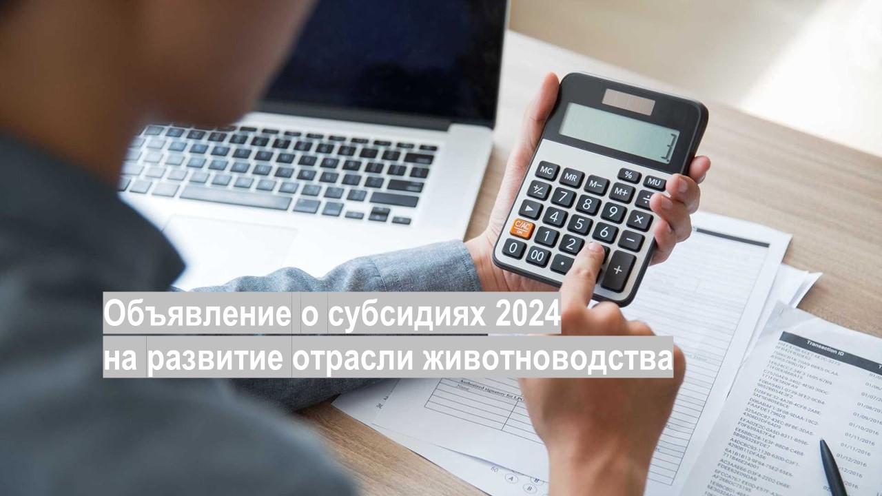 Начало отбора документов на субсидии в отрасли животноводства